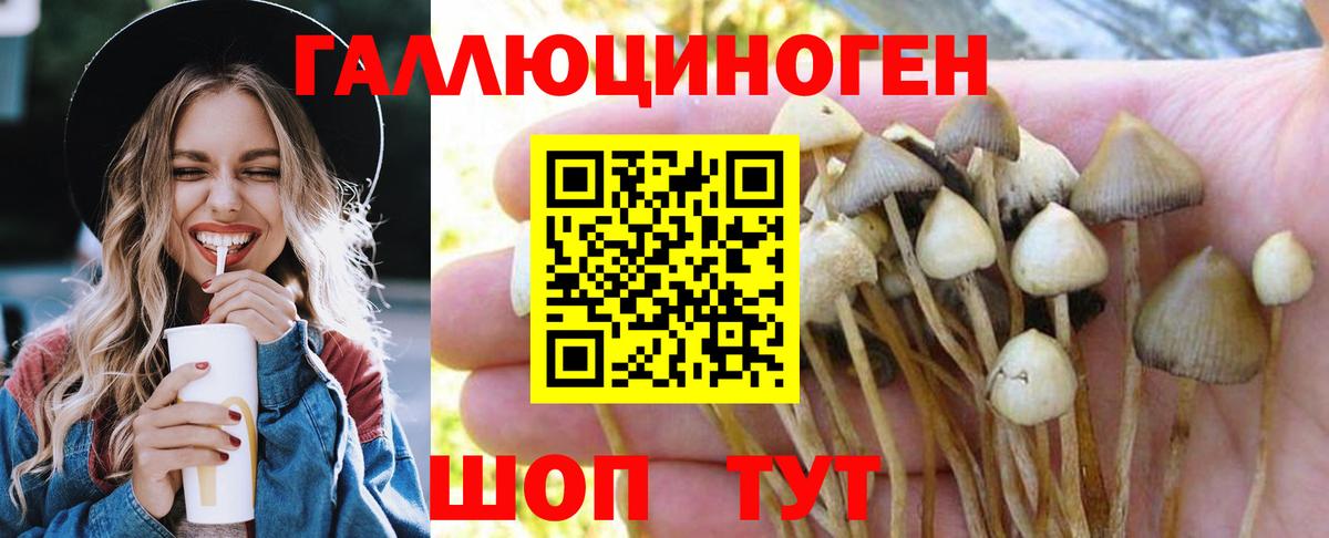 Псилоцибиновые грибы MAGIC MUSHROOMS Мелеуз